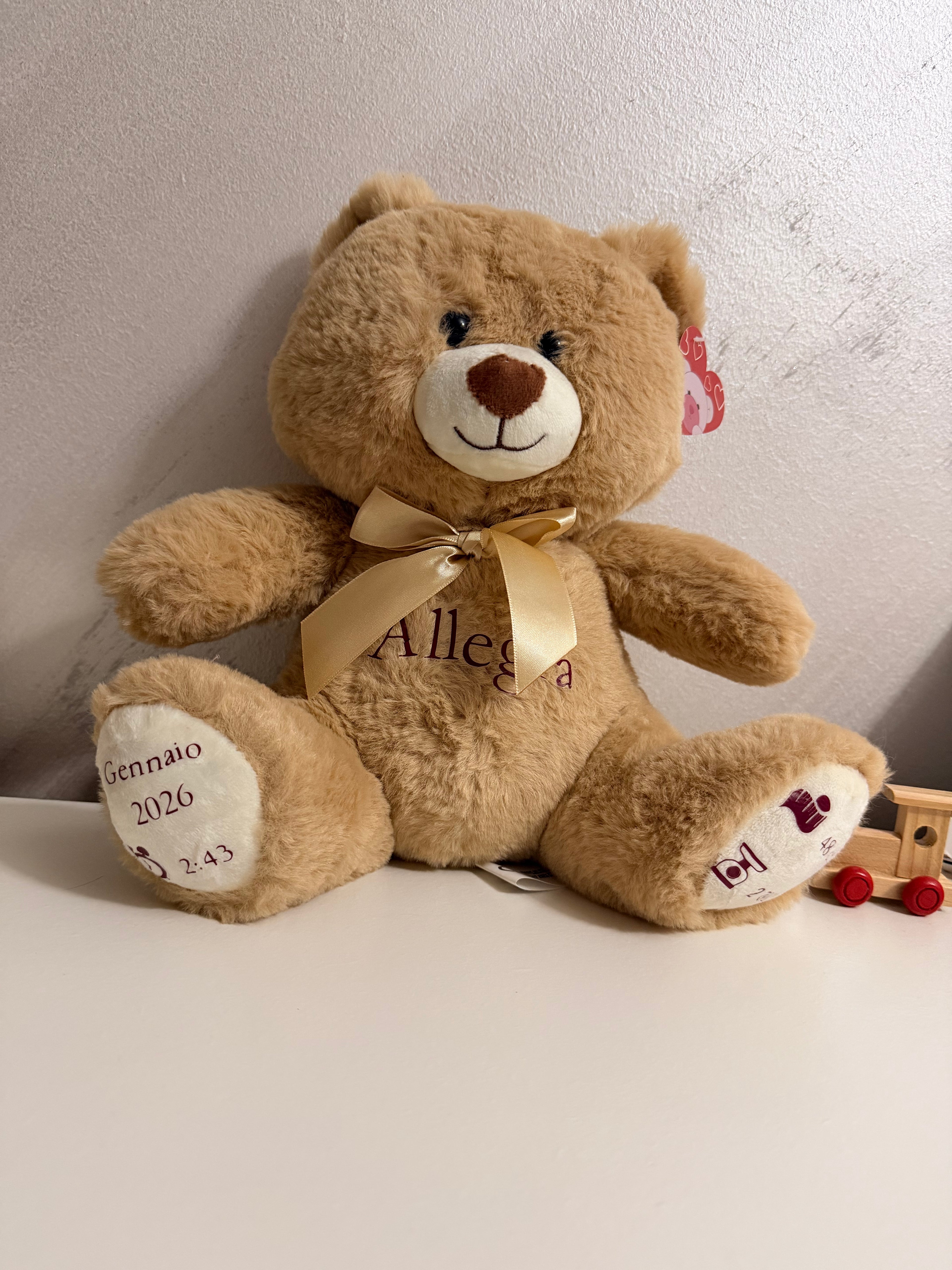 peluche personalizzato