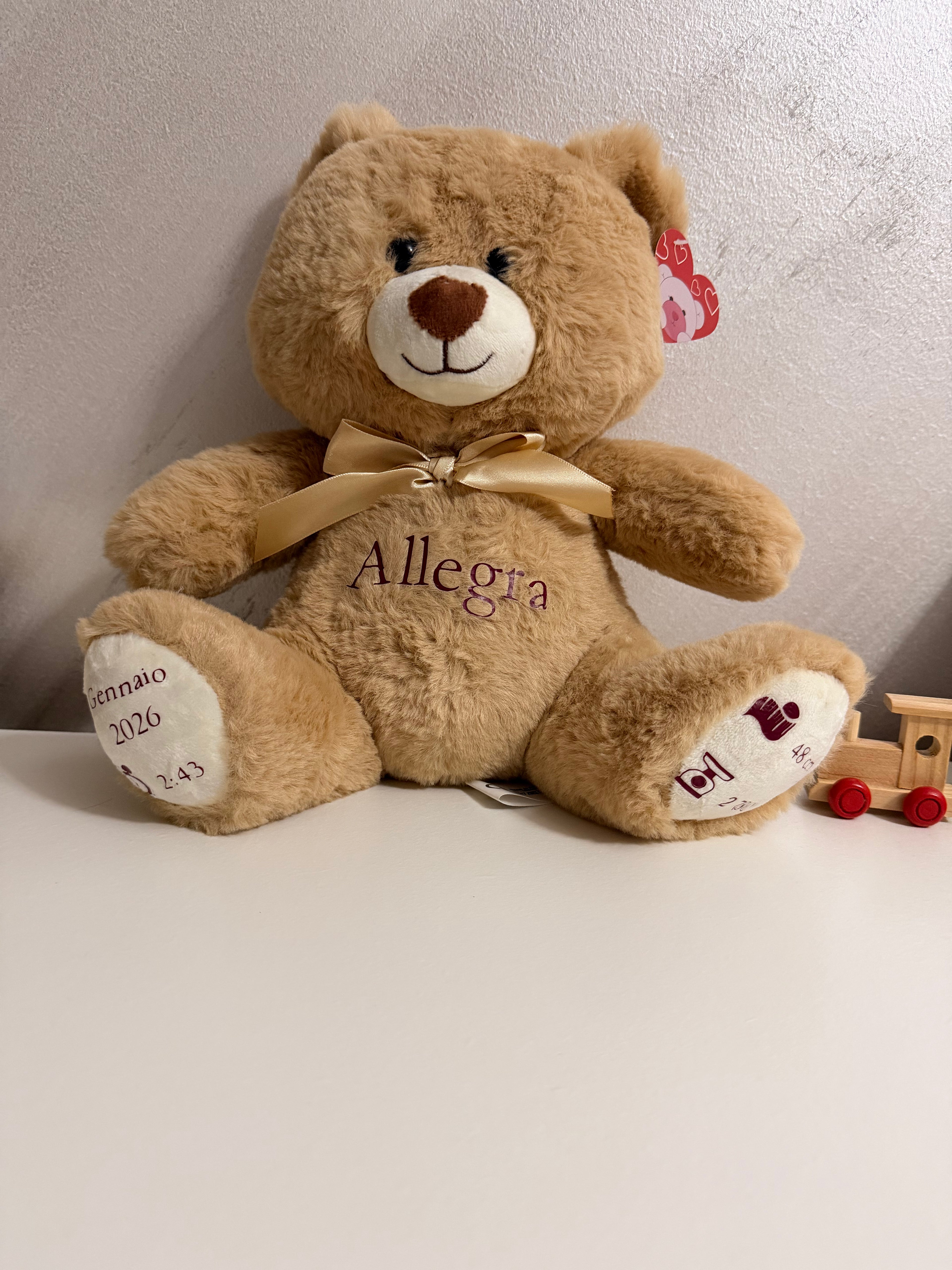 peluche personalizzato